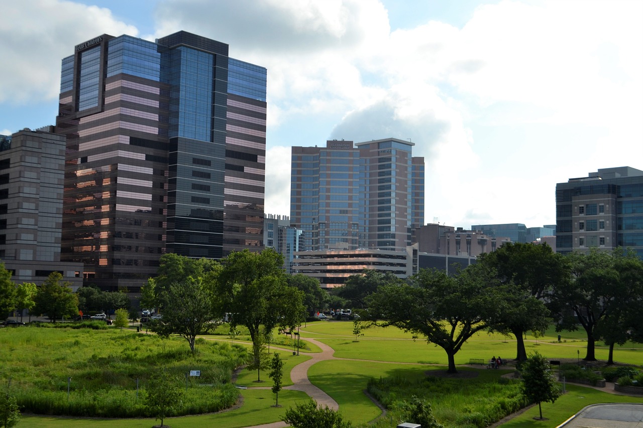 commercial landscape maintenance contractor