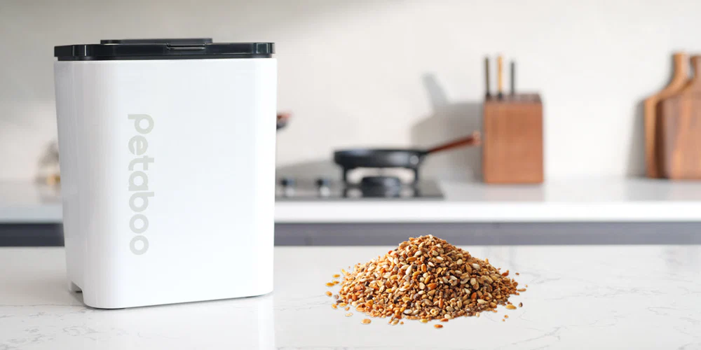 Building a Healthier Life for Your Pet: Daily Habits That Truly Make a Difference